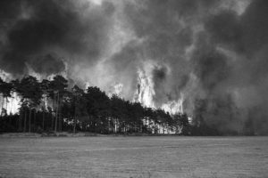 1975: Waldbrand bei Trebel. Bild: Uwe Kühl