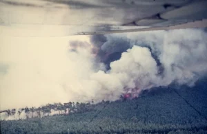 waldbrandausbruch_zwischen_gorleben_und_gartow_1977-900001099-38100-11