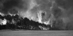 1975: Waldbrand bei Trebel. Bild: Uwe Kühl