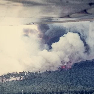 waldbrandausbruch_zwischen_gorleben_und_gartow_1977-900001099-38100-11